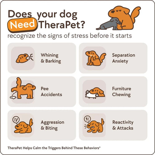 Colaglo Therapy Cat